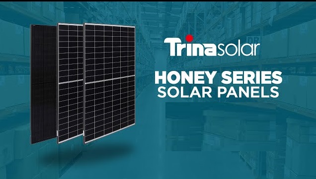 Honey Series of Trina Solar