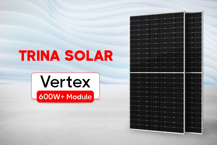 Vertex 600W+ Module